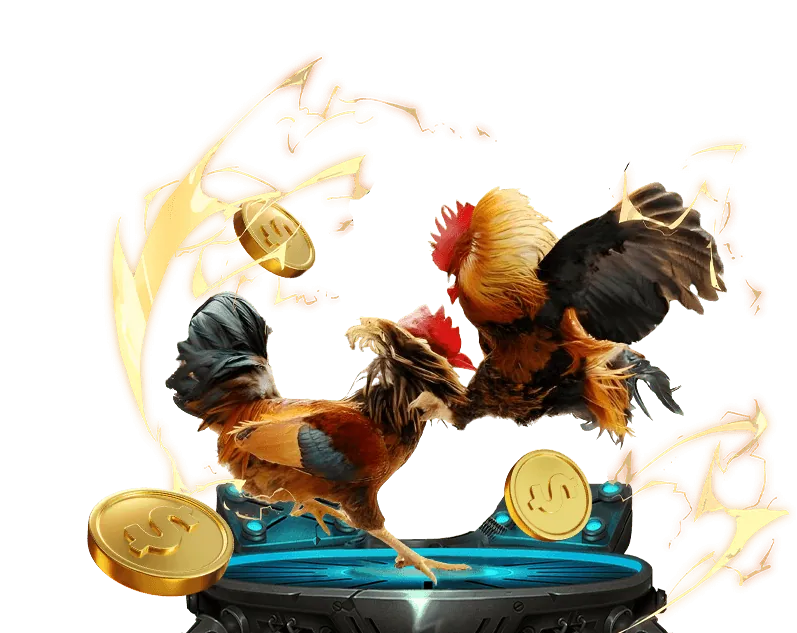 Các chương trình khuyến mãi đá gà độc quyền tại ONEBOX63